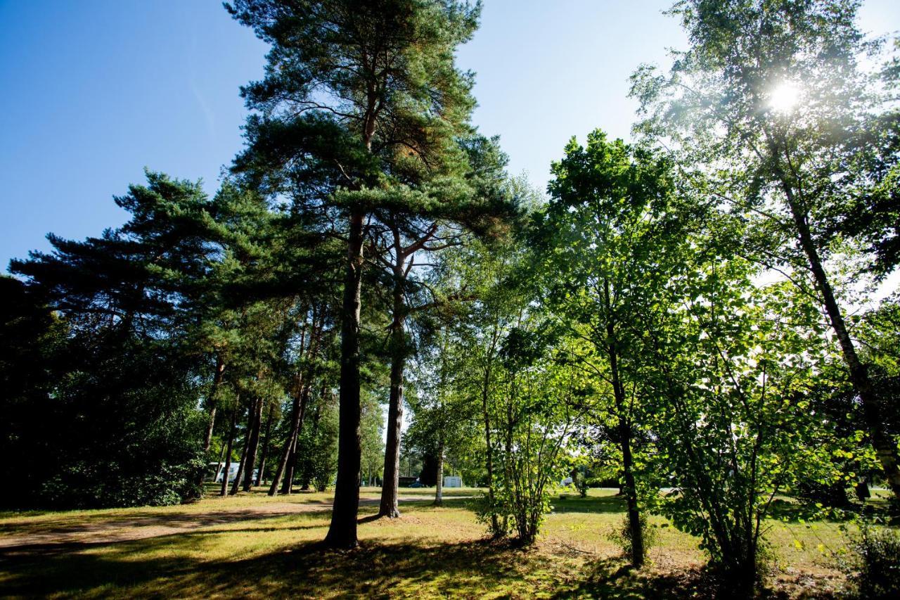 Naturcamping Lueneburger Heide - Chalets & Tiny Haeuser โซลเทา ภายนอก รูปภาพ