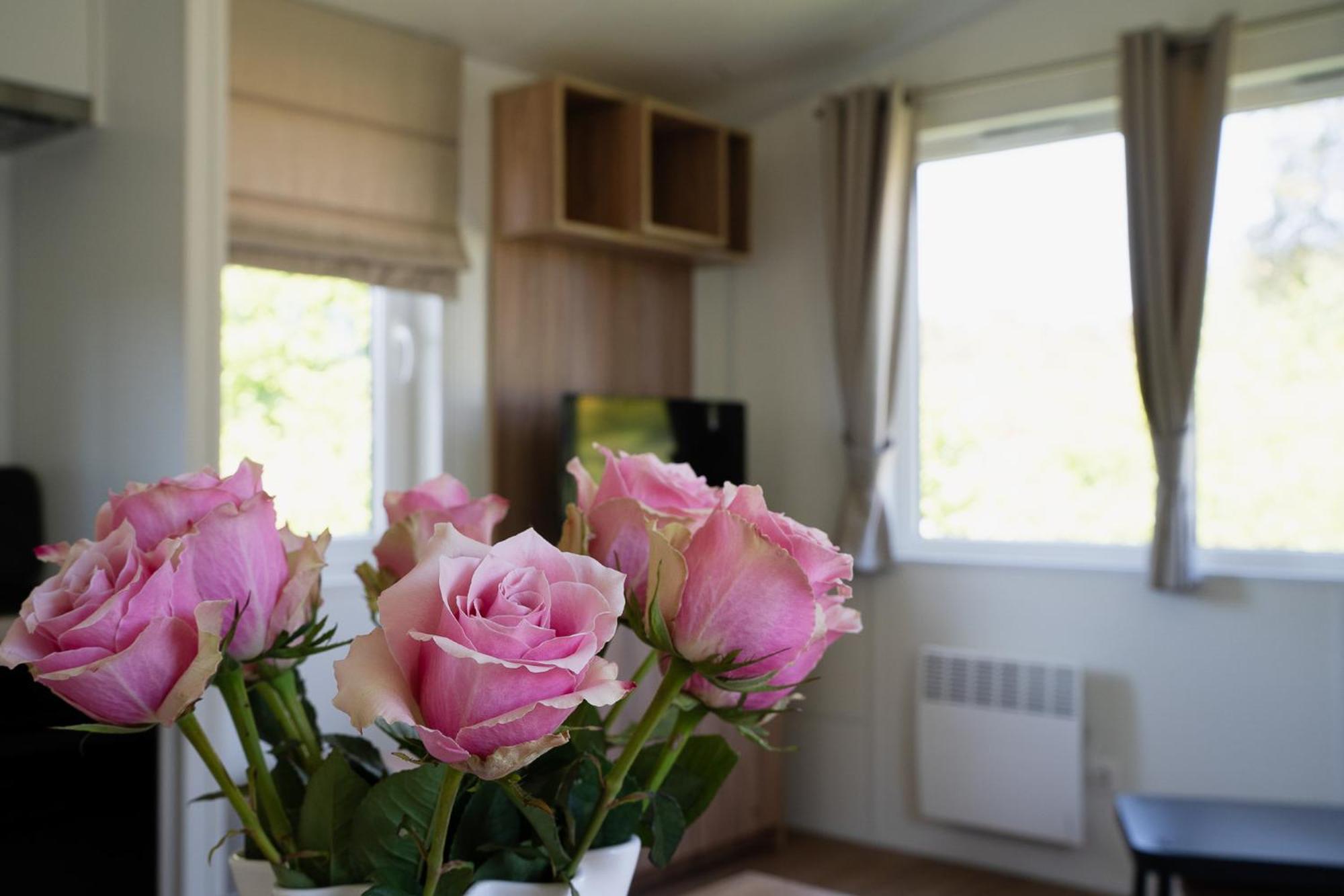 Naturcamping Lueneburger Heide - Chalets & Tiny Haeuser โซลเทา ภายนอก รูปภาพ